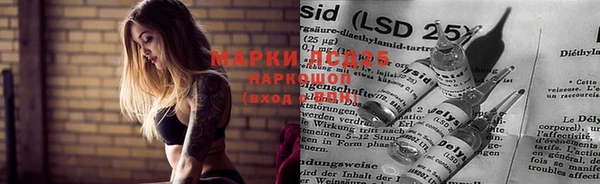 a pvp Белокуриха