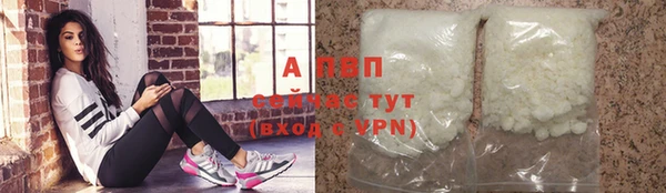 a pvp Белокуриха