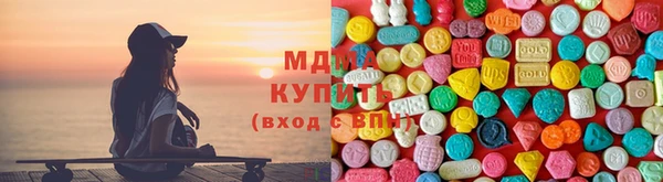 индика Протвино