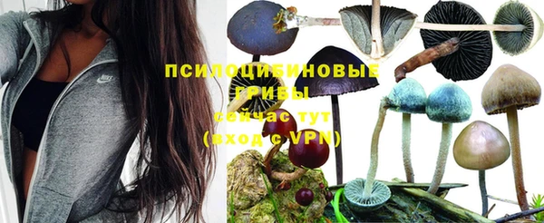 прущий лед Беломорск