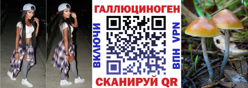 OMG сайт  Саяногорск  Псилоцибиновые грибы ЛСД  где купить наркоту 